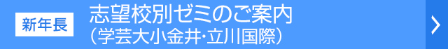 志望校別ゼミご案内