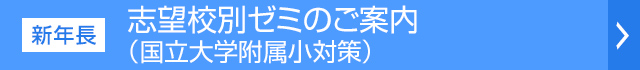 志望校別ゼミご案内